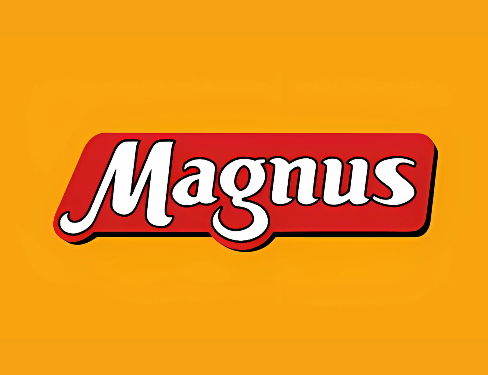 Logo Magnus
